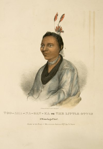 Too-sha-na-gan-ka o la Piccola Lontra da James Otto Lewis